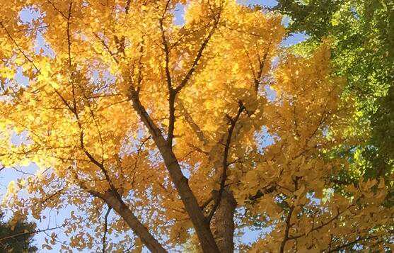 北京公司注册时经营场所需要多大面积？