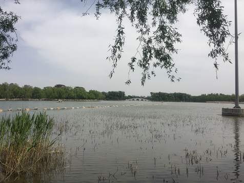 办理北京公司注册的流程和要素有哪些？