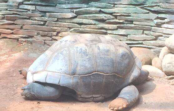 北京注册不了教育咨询公司，如何办理？