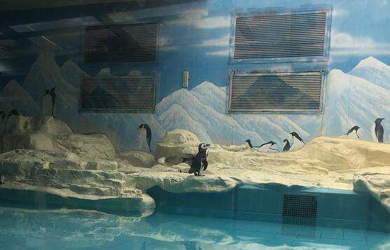 北京最新注册公司地址要求有什么注意事项？