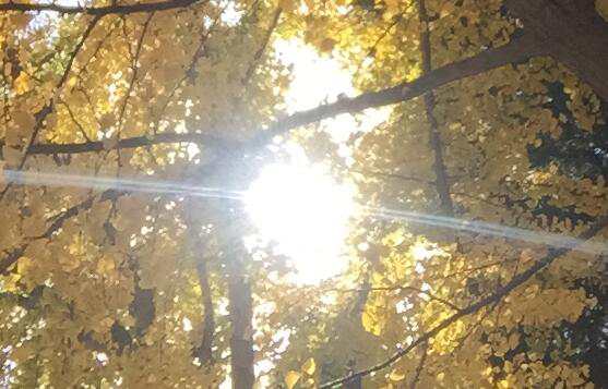 东平注册公司费用（东平注册公司需要多少费用）