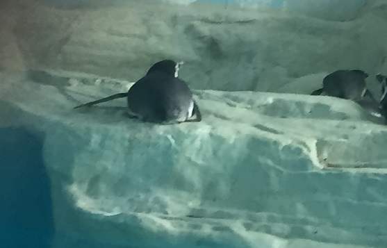 办理北京创新公司注册的具体步骤是什么？