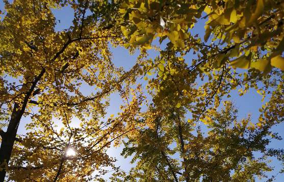 北京代理注册公司排行榜：哪家公司服务好