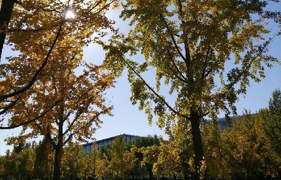 北京市新注册公司代办有哪些好的服务机构？