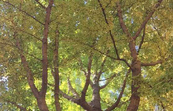 北京住宅区公司注册是否需要找代理机构？